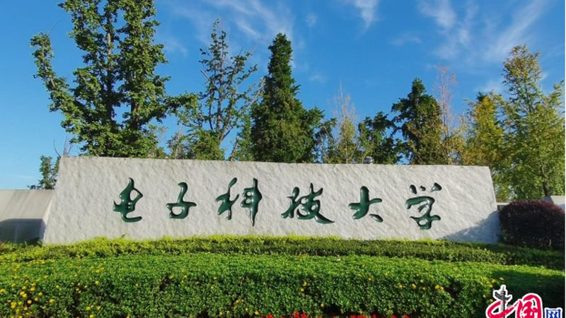 線路板代加工：揭秘價格背后的考量因素**