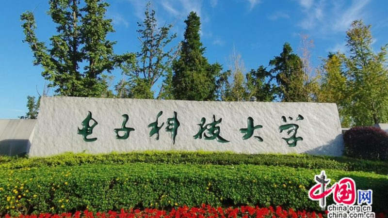 貼片二極管尺寸定制：揭秘其背后的技術奧秘