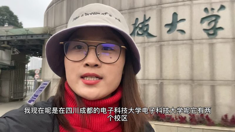 橋式整流電路：揭秘其報價背后的技術奧秘